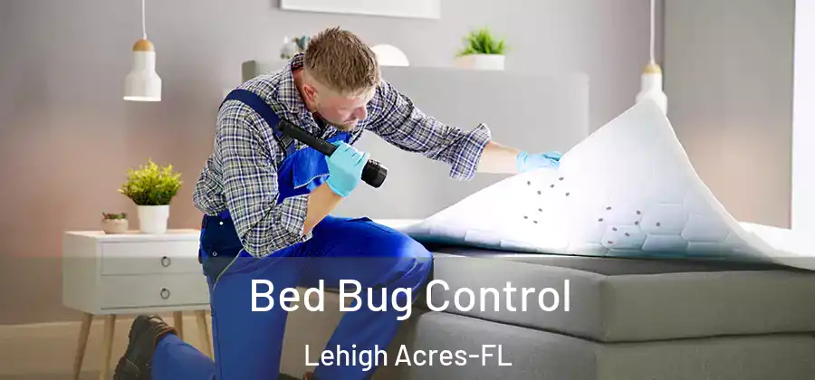Bed Bug Control Lehigh Acres-FL