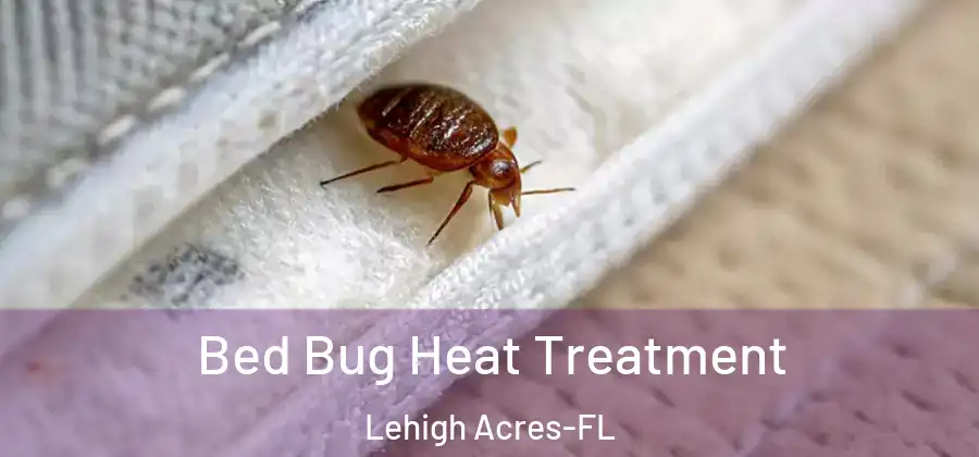  Bed Bug Heat Treatment Lehigh Acres-FL