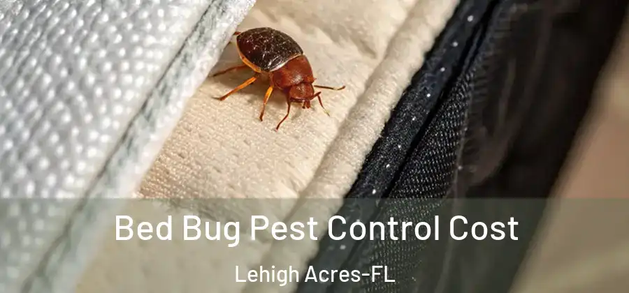 Bed Bug Pest Control Cost Lehigh Acres-FL