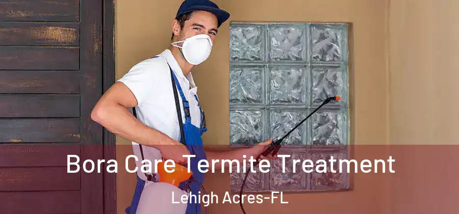 Bora Care Termite Treatment Lehigh Acres-FL