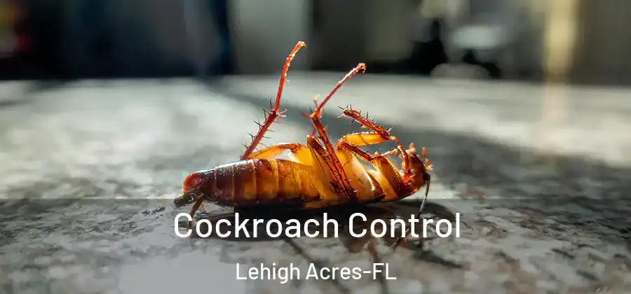 Cockroach Control Lehigh Acres-FL