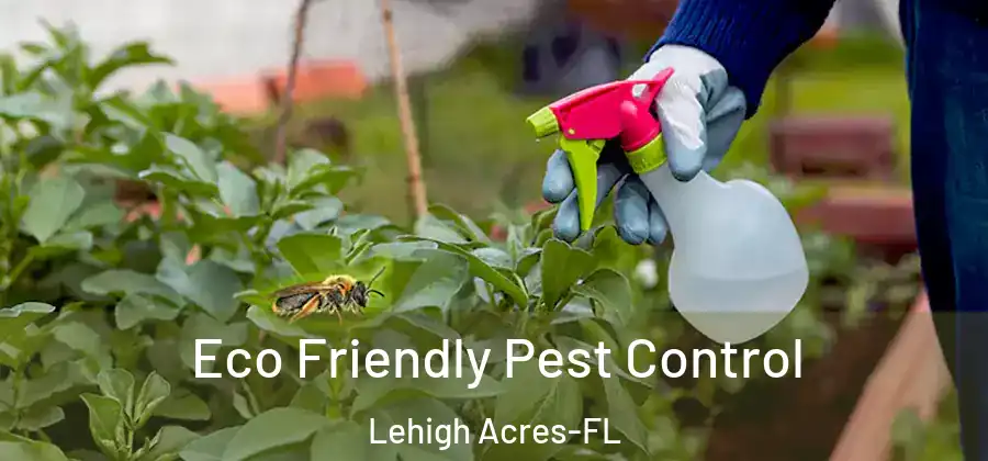 Eco Friendly Pest Control Lehigh Acres-FL