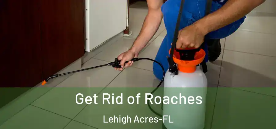 Get Rid of Roaches Lehigh Acres-FL