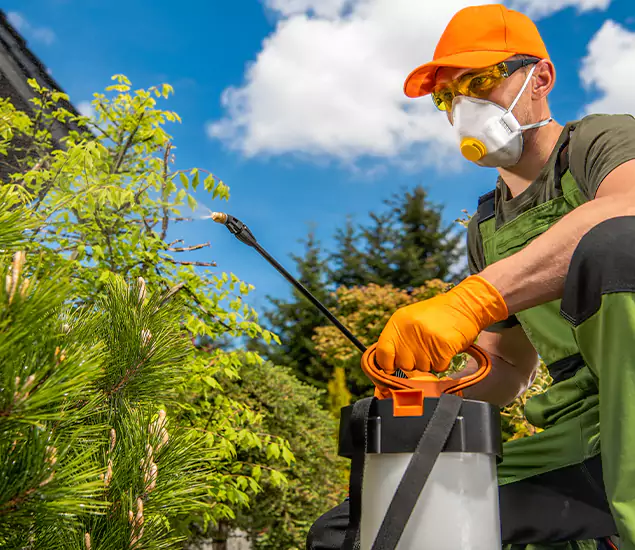 Your Mosquito Repellent Barrier Service in Lehigh Acres, FL