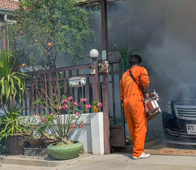 Your Proven Mosquito Fogging Company in Lehigh Acres, FL