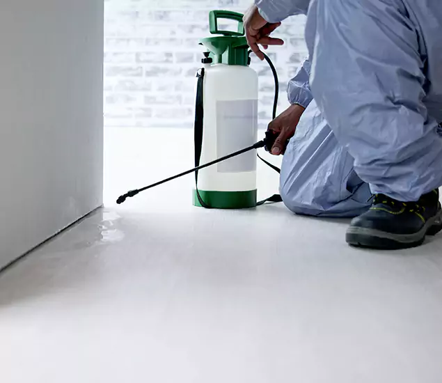 Affordable Pest Control Experts in Lehigh Acres, FL