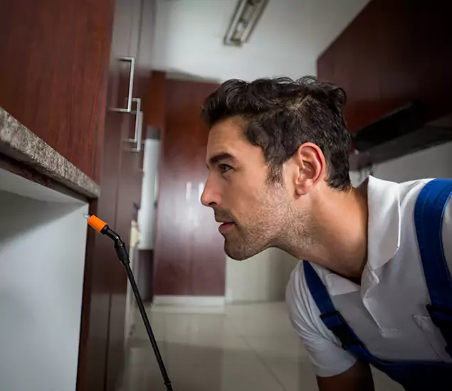 Expert Rodent in Attic Removal: Your Proven Pest Specialists in Lehigh Acres, FL