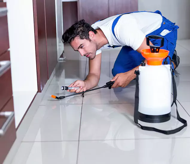 Advanced Slab Termite Treatment Experts You Can Trust&nbsp;in Lehigh Acres, FL