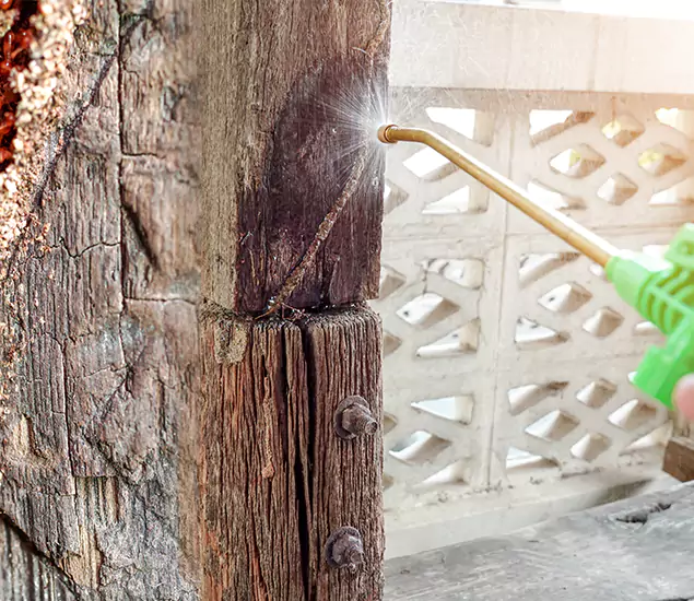 About Wood Termite Treatment Services in Lehigh Acres, FL