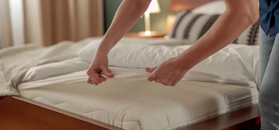 Bed Bug Extermination Services in Lehigh Acres