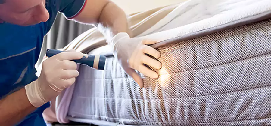 Residential Bed Bug Treatment Cost in Lehigh Acres