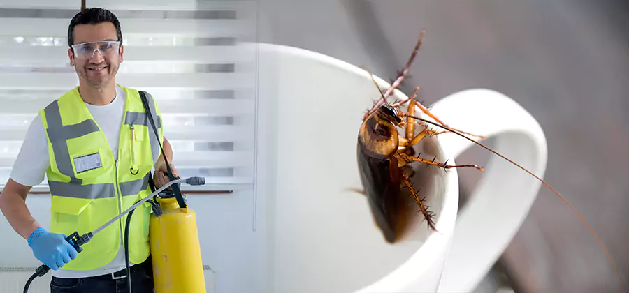 German Roach Infestation Treatment Lehigh Acres