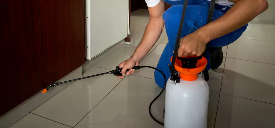 Indoor Mosquito Treatment in Lehigh Acres