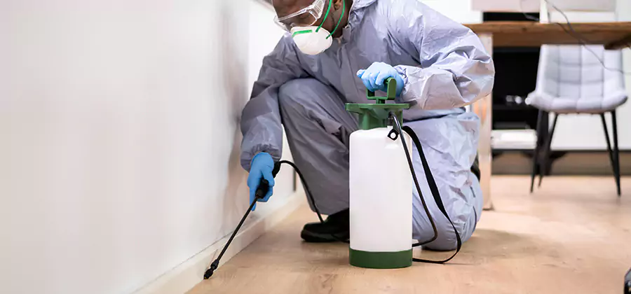 No Tent Termite Extermination With Electric Tool in Lehigh Acres