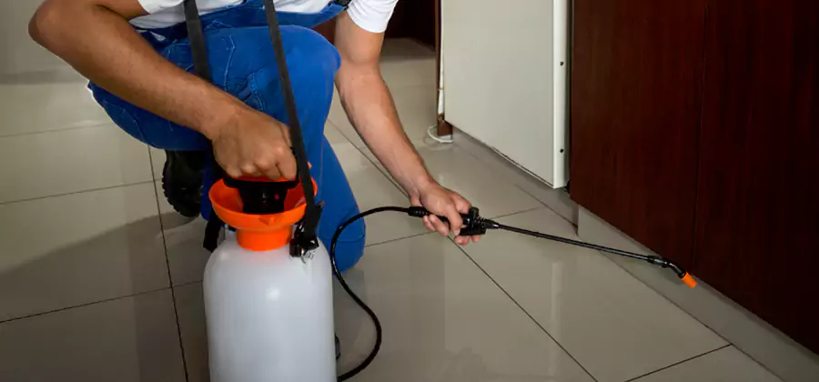 One Time Termite Control in Lehigh Acres