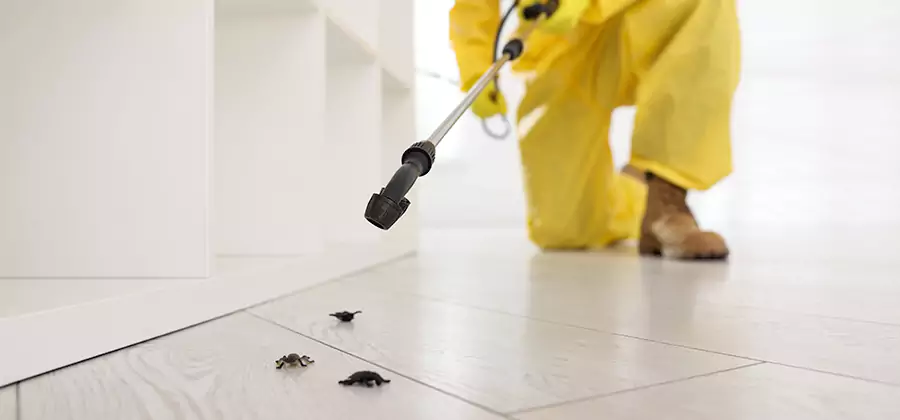 Roach and Bed Bug Exterminator in Lehigh Acres