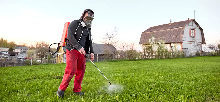 Flea and Tick Pest Control in Lehigh Acres