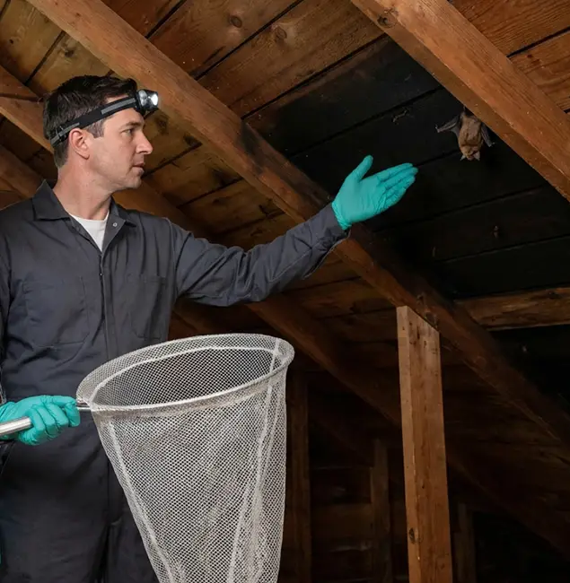 Why Lehigh Acres Pest Control Pro Is the Right Choice in Lehigh Acres, FL?