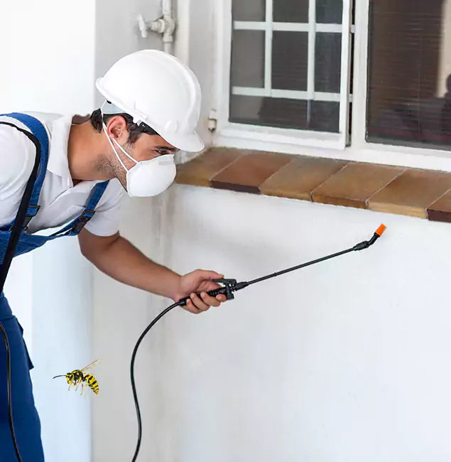 Why Lehigh Acres Property Owners Choose Lehigh Acres Pest Control Pro for Bee Nest Removal?