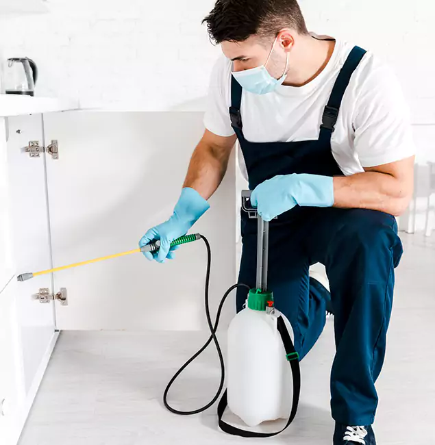 Why Lehigh Acres, FL Homeowners Trust Us for German Roach Control?