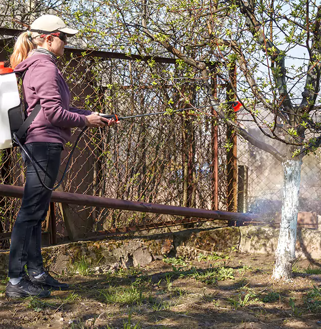 Why Lehigh Acres Homeowners Choose Lehigh Acres Pest Control Pro for Mosquito Abatement?