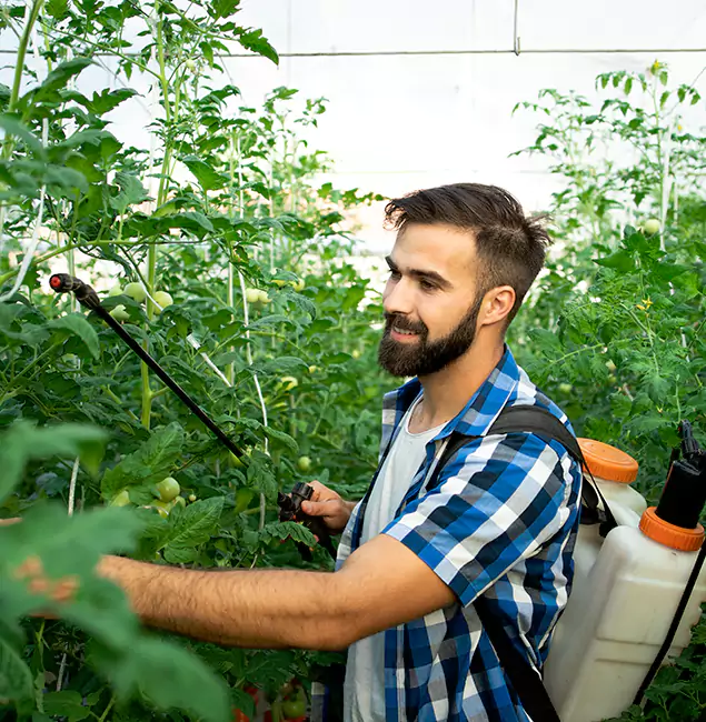 Why Lehigh Acres Homeowners Choose Lehigh Acres Pest Control Pro for Mosquito Spraying?