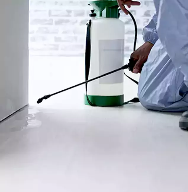 Why Choose Lehigh Acres Pest Control Pro for Rat Exterminator in Lehigh Acres, FL?