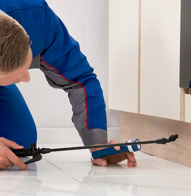Why Lehigh Acres Residents Choose Lehigh Acres Pest Control Pro to Get Rid of Sugar Ants?