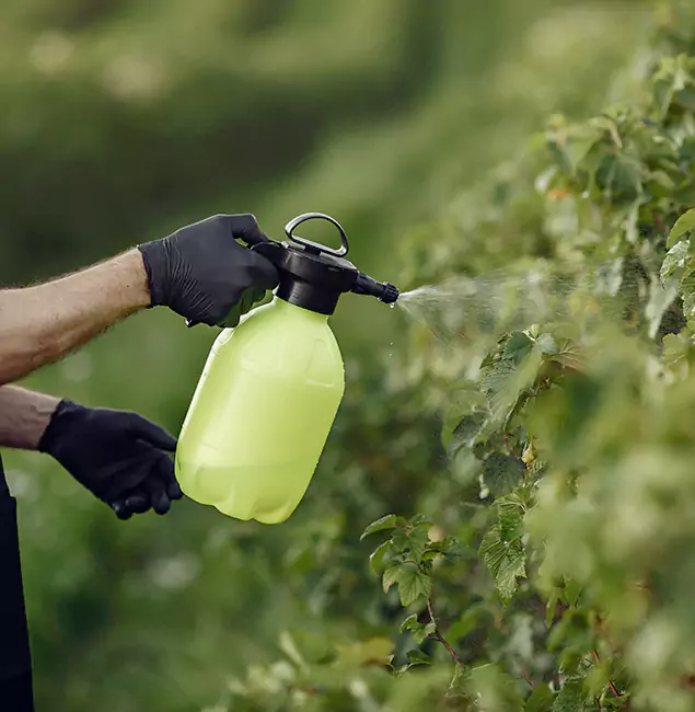 Why Lehigh Acres Homeowners Choose Lehigh Acres Pest Control Pro for Yard Tick Treatment?