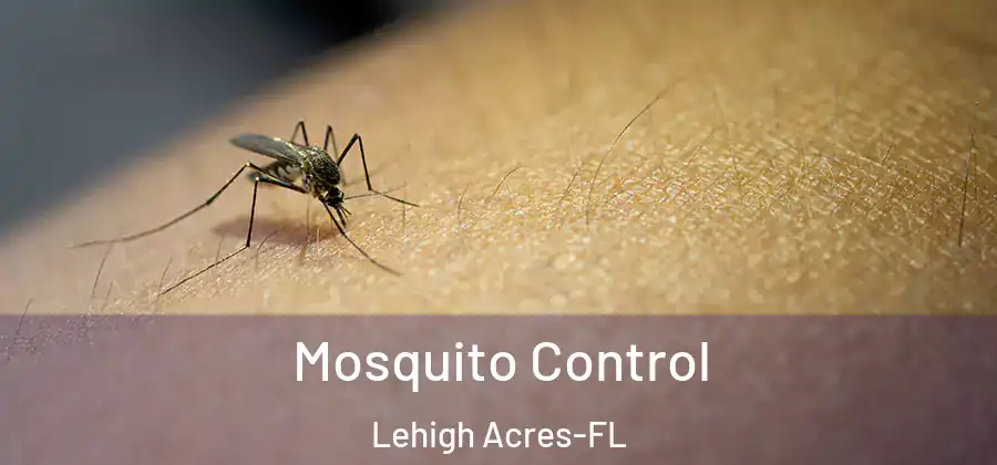 Mosquito Control Lehigh Acres-FL