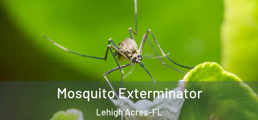 Mosquito Exterminator Lehigh Acres-FL