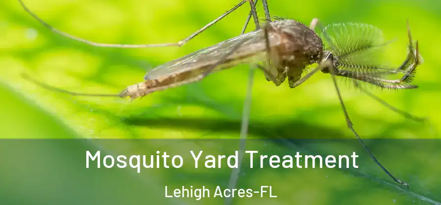  Mosquito Yard Treatment Lehigh Acres-FL