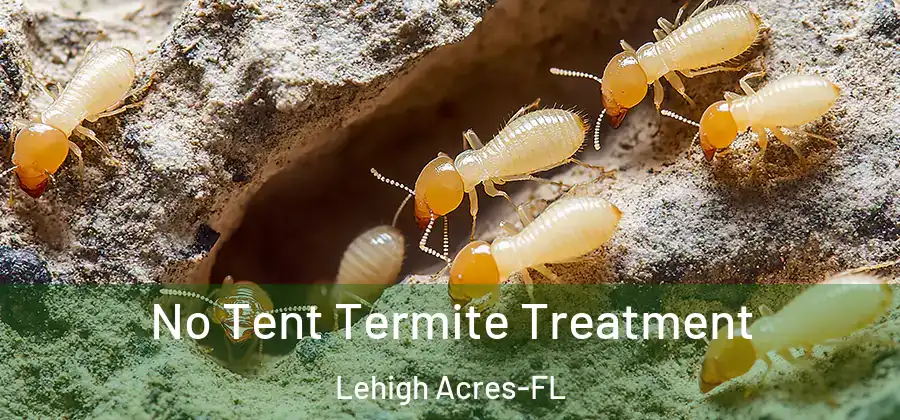 No Tent Termite Treatment Lehigh Acres-FL