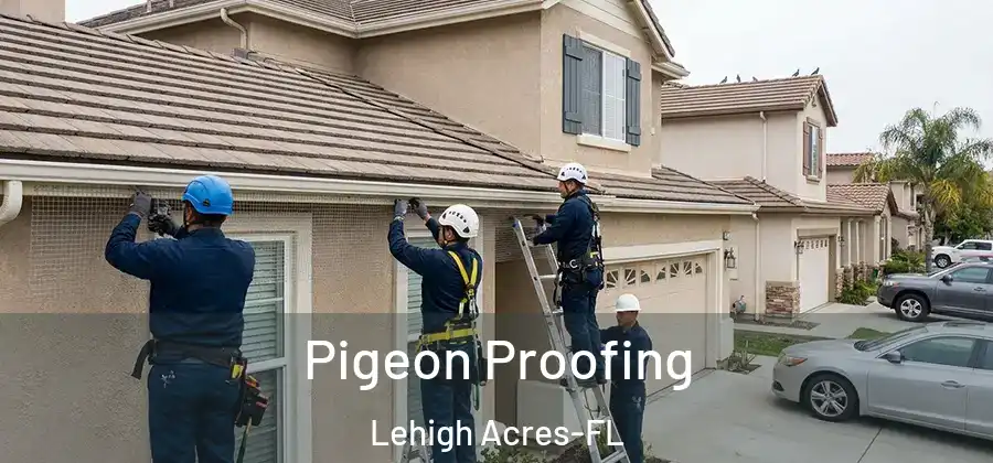  Pigeon Proofing Lehigh Acres-FL
