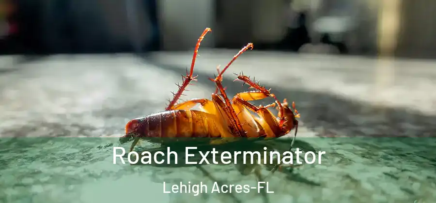Roach Exterminator Lehigh Acres-FL