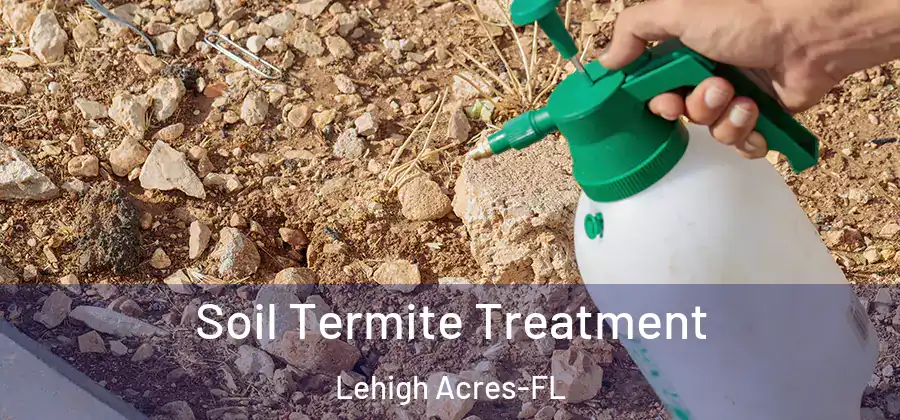 Soil Termite Treatment Lehigh Acres-FL