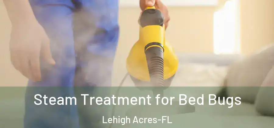 Steam Treatment for Bed Bugs Lehigh Acres-FL
