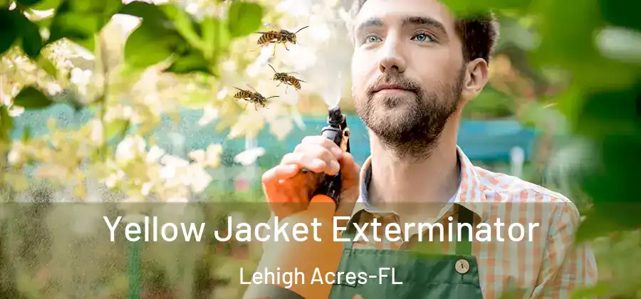 Yellow Jacket Exterminator Lehigh Acres-FL